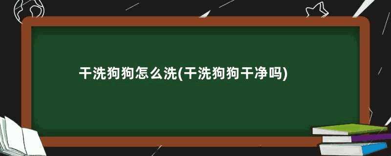 干洗狗狗怎么洗(干洗狗狗干净吗)