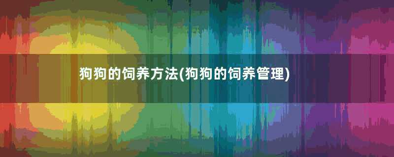 狗狗的饲养方法(狗狗的饲养管理)