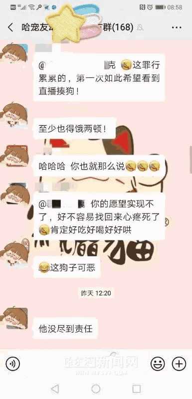 金吉拉多少钱一只幼崽（金吉拉多少钱一只猫什么颜色最贵）