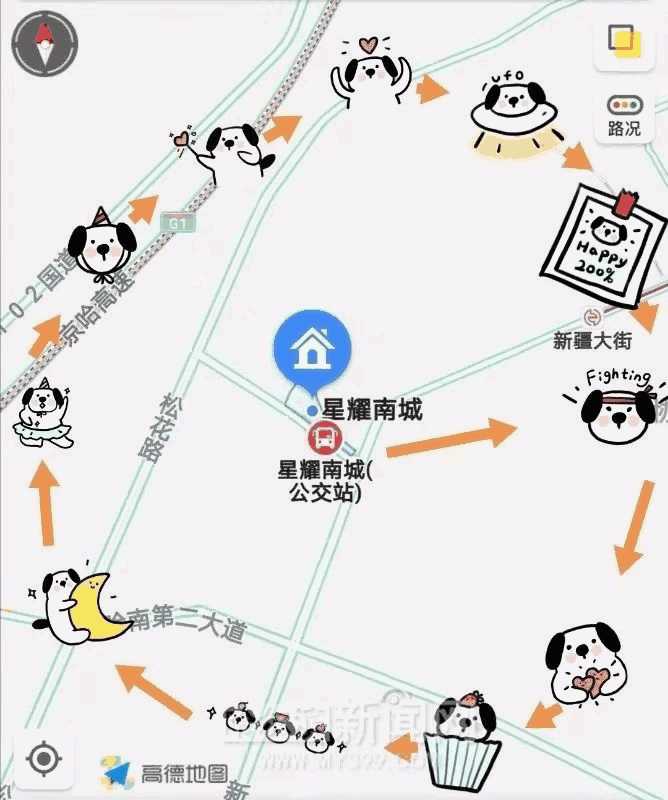 我家边牧为什么这么蠢(边牧嫌弃主人笨)