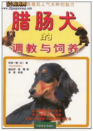 腊肠犬的饲养方法(腊肠犬香肠)