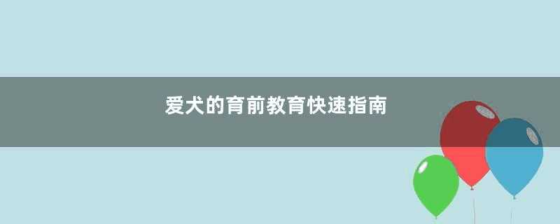 爱犬的育前教育快速指南