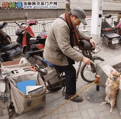 南昌市养犬管理条例最新规定(南昌养狗新规)