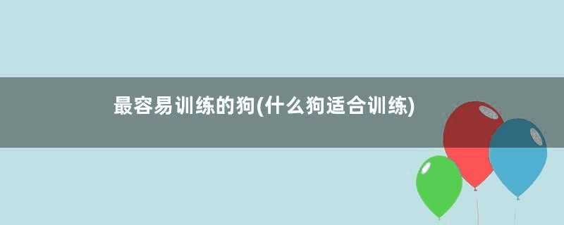 最容易训练的狗(什么狗适合训练)