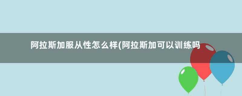 阿拉斯加服从性怎么样(阿拉斯加可以训练吗)