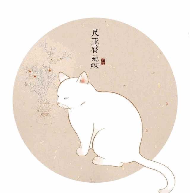 布偶猫 纯白(布偶猫全白)