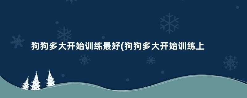 狗狗多大开始训练最好(狗狗多大开始训练上厕所)