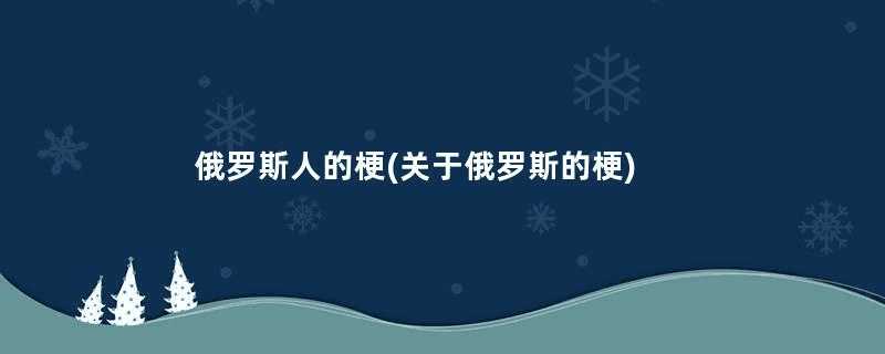 俄罗斯人的梗(关于俄罗斯的梗)