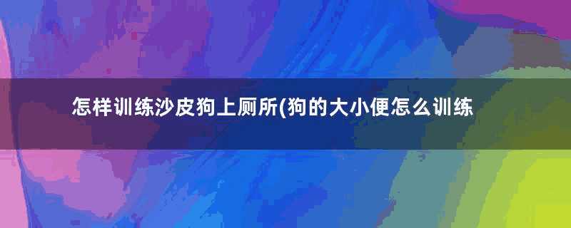 怎样训练沙皮狗上厕所(狗的大小便怎么训练)