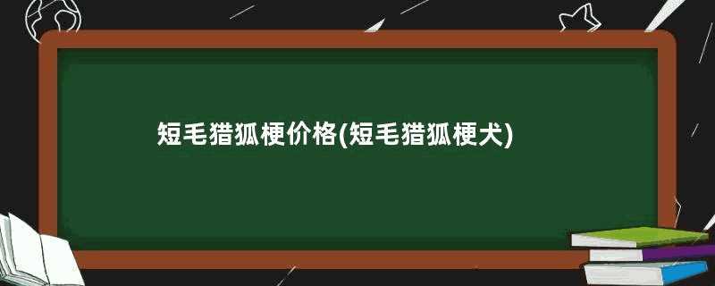 短毛猎狐梗价格(短毛猎狐梗犬)