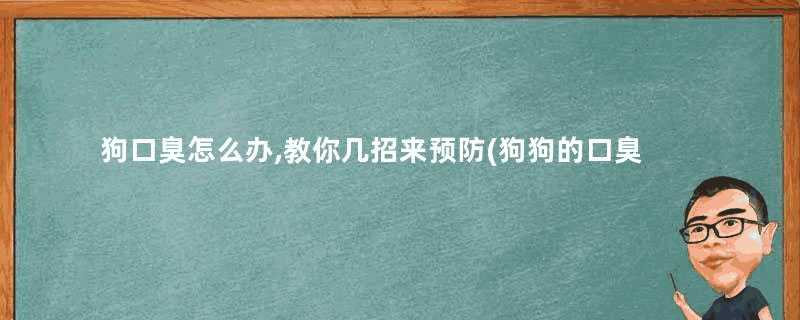 狗口臭怎么办,教你几招来预防(狗狗的口臭怎么解决)