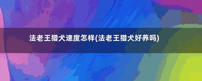 法老王猎犬速度怎样(法老王猎犬好养吗)