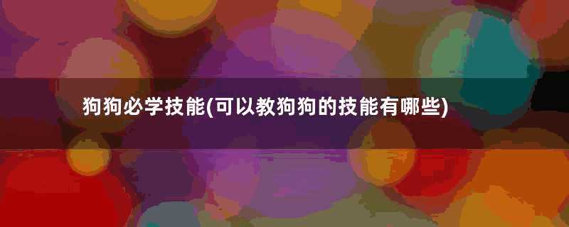 狗狗必学技能(可以教狗狗的技能有哪些)