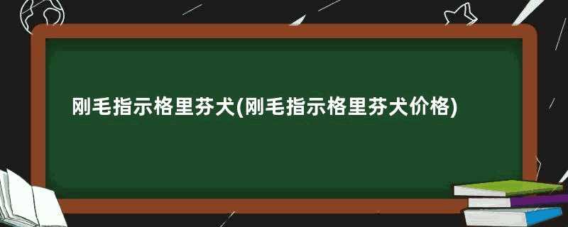 刚毛指示格里芬犬(刚毛指示格里芬犬价格)