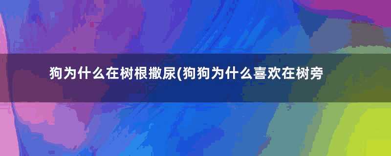 狗为什么在树根撒尿(狗狗为什么喜欢在树旁边尿)