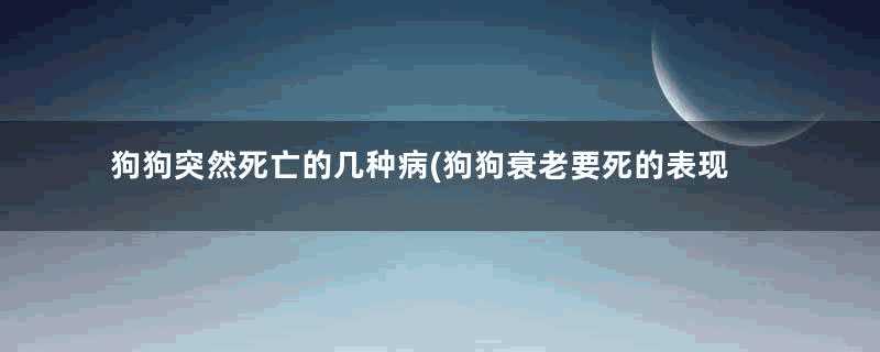 狗狗突然死亡的几种病(狗狗衰老要死的表现)