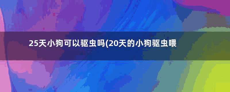 25天小狗可以驱虫吗(20天的小狗驱虫喂几粒)