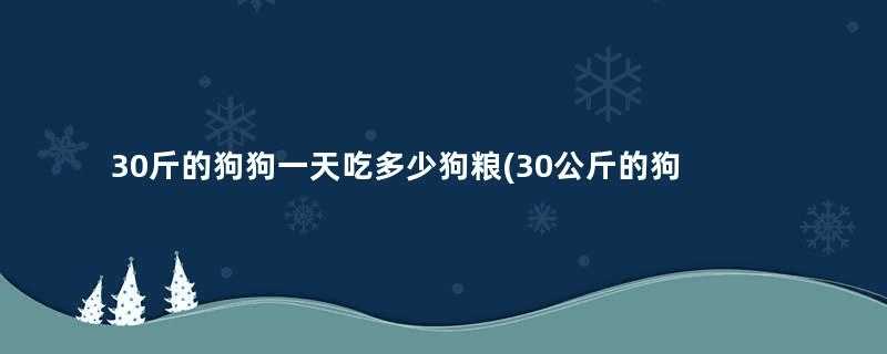 30斤的狗狗一天吃多少狗粮(30公斤的狗一天吃多少)