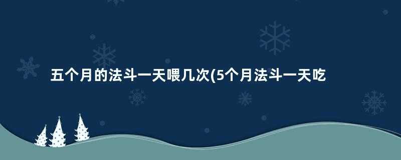 五个月的法斗一天喂几次(5个月法斗一天吃多少)