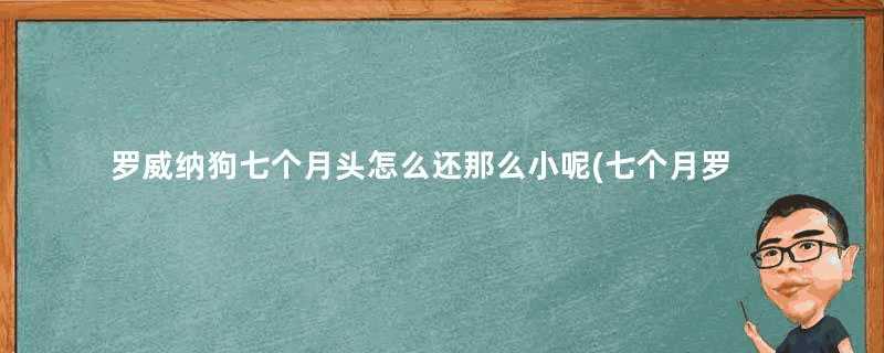 罗威纳狗七个月头怎么还那么小呢(七个月罗威纳犬身高)