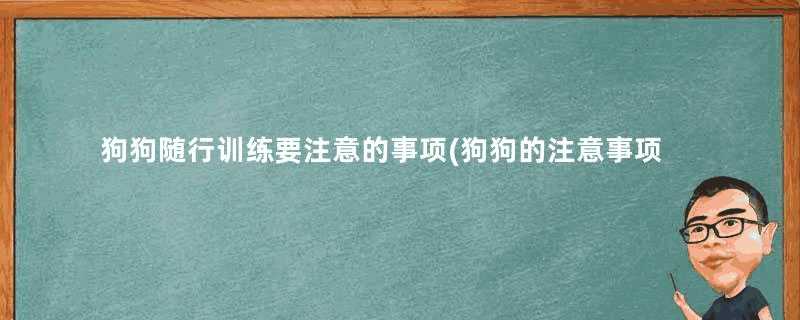 狗狗随行训练要注意的事项(狗狗的注意事项)