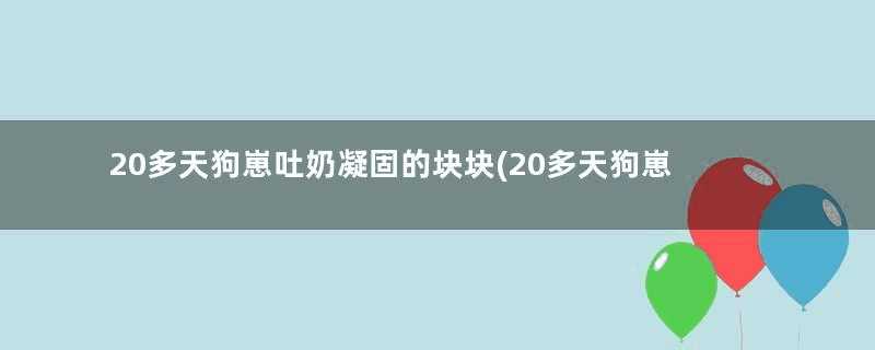 20多天狗崽吐奶凝固的块块(20多天狗崽吐奶凝固的,可以喂益生菌吗)