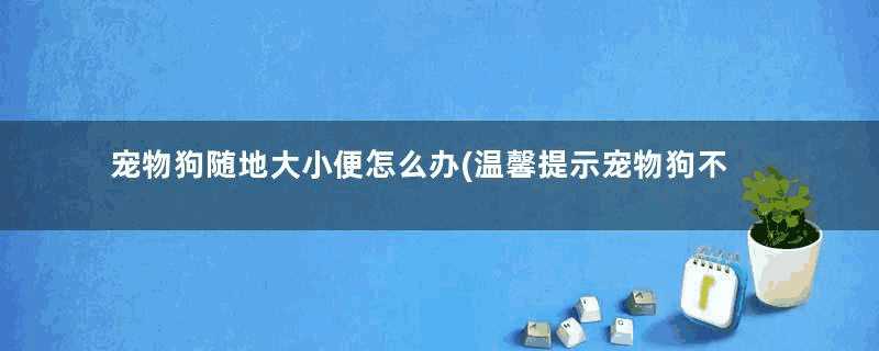 宠物狗随地大小便怎么办(温馨提示宠物狗不随地大小便)