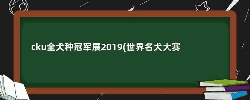 cku全犬种冠军展2019(世界名犬大赛)