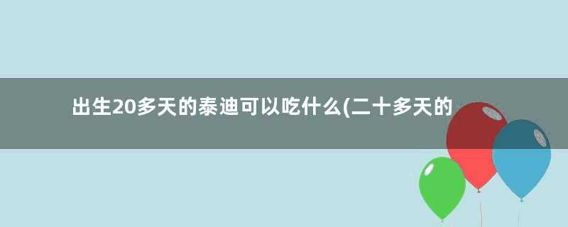 出生20多天的泰迪可以吃什么(二十多天的小泰迪吃啥)