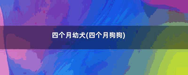 四个月幼犬(四个月狗狗)