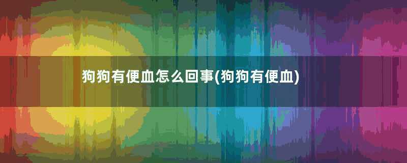 狗狗有便血怎么回事(狗狗有便血)