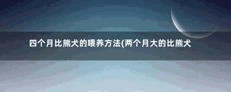 四个月比熊犬的喂养方法(两个月大的比熊犬饲养注意事项)