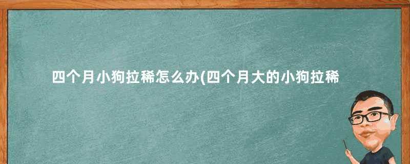 四个月小狗拉稀怎么办(四个月大的小狗拉稀一般是什么问题)