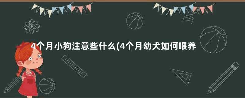 4个月小狗注意些什么(4个月幼犬如何喂养)