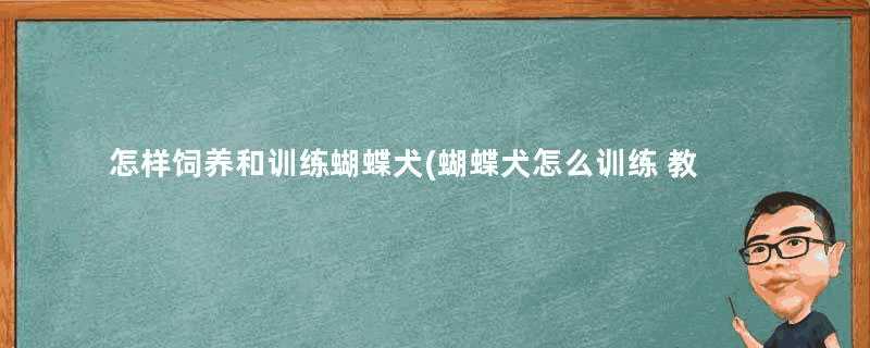 怎样饲养和训练蝴蝶犬(蝴蝶犬怎么训练 教你三种训练方式)