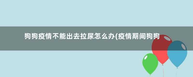 狗狗疫情不能出去拉尿怎么办(疫情期间狗狗不在家大小便怎么办)