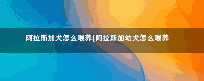 阿拉斯加犬怎么喂养(阿拉斯加幼犬怎么喂养)