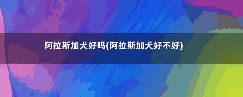 阿拉斯加犬好吗(阿拉斯加犬好不好)