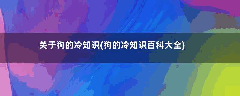 关于狗的冷知识(狗的冷知识百科大全)