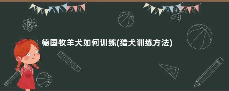 德国牧羊犬如何训练(猎犬训练方法)