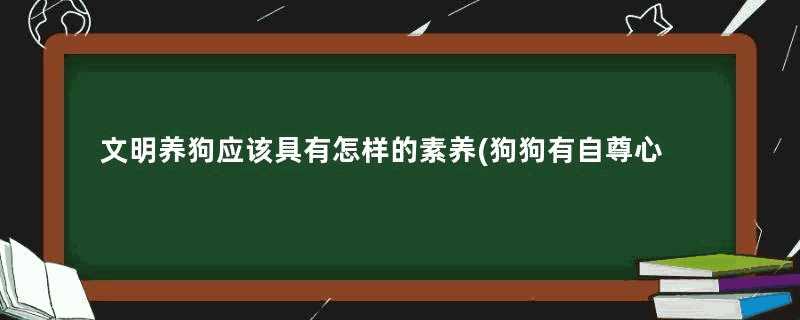 文明养狗应该具有怎样的素养(狗狗有自尊心吗)