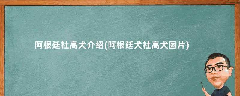 阿根廷杜高犬介绍(阿根廷犬杜高犬图片)