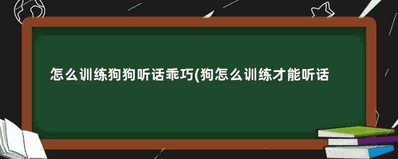 怎么训练狗狗听话乖巧(狗怎么训练才能听话)