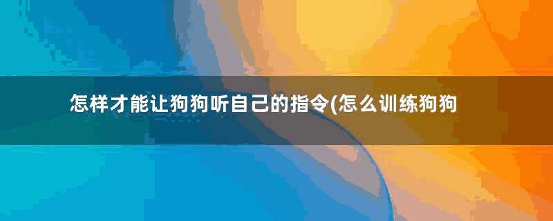 怎样才能让狗狗听自己的指令(怎么训练狗狗听指令进食)