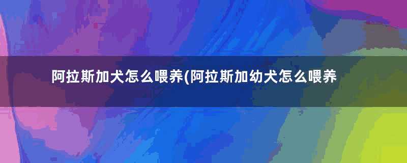 阿拉斯加犬怎么喂养(阿拉斯加幼犬怎么喂养方法)