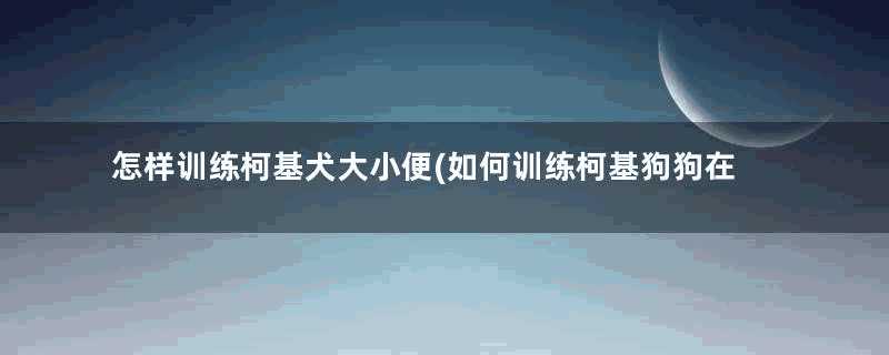 怎样训练柯基犬大小便(如何训练柯基狗狗在固定地点大小便)