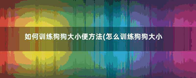 如何训练狗狗大小便方法(怎么训练狗狗大小便视频教程)