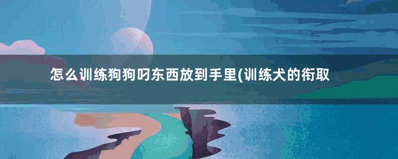 怎么训练狗狗叼东西放到手里(训练犬的衔取正确方法)