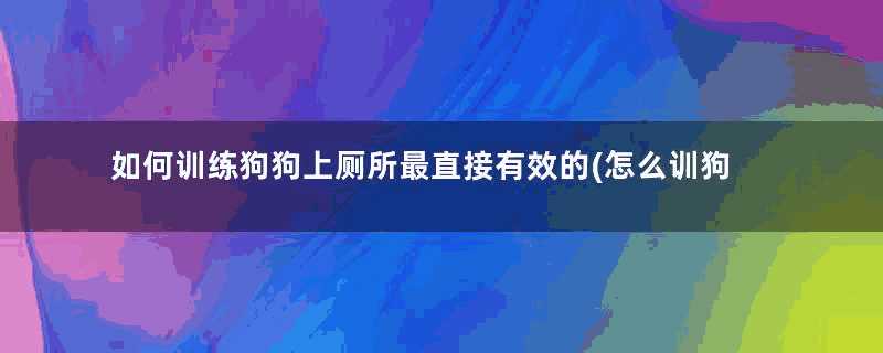 如何训练狗狗上厕所最直接有效的(怎么训狗定点上厕所)