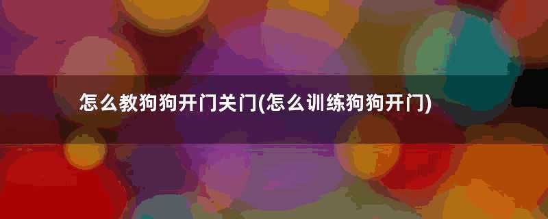 怎么教狗狗开门关门(怎么训练狗狗开门)